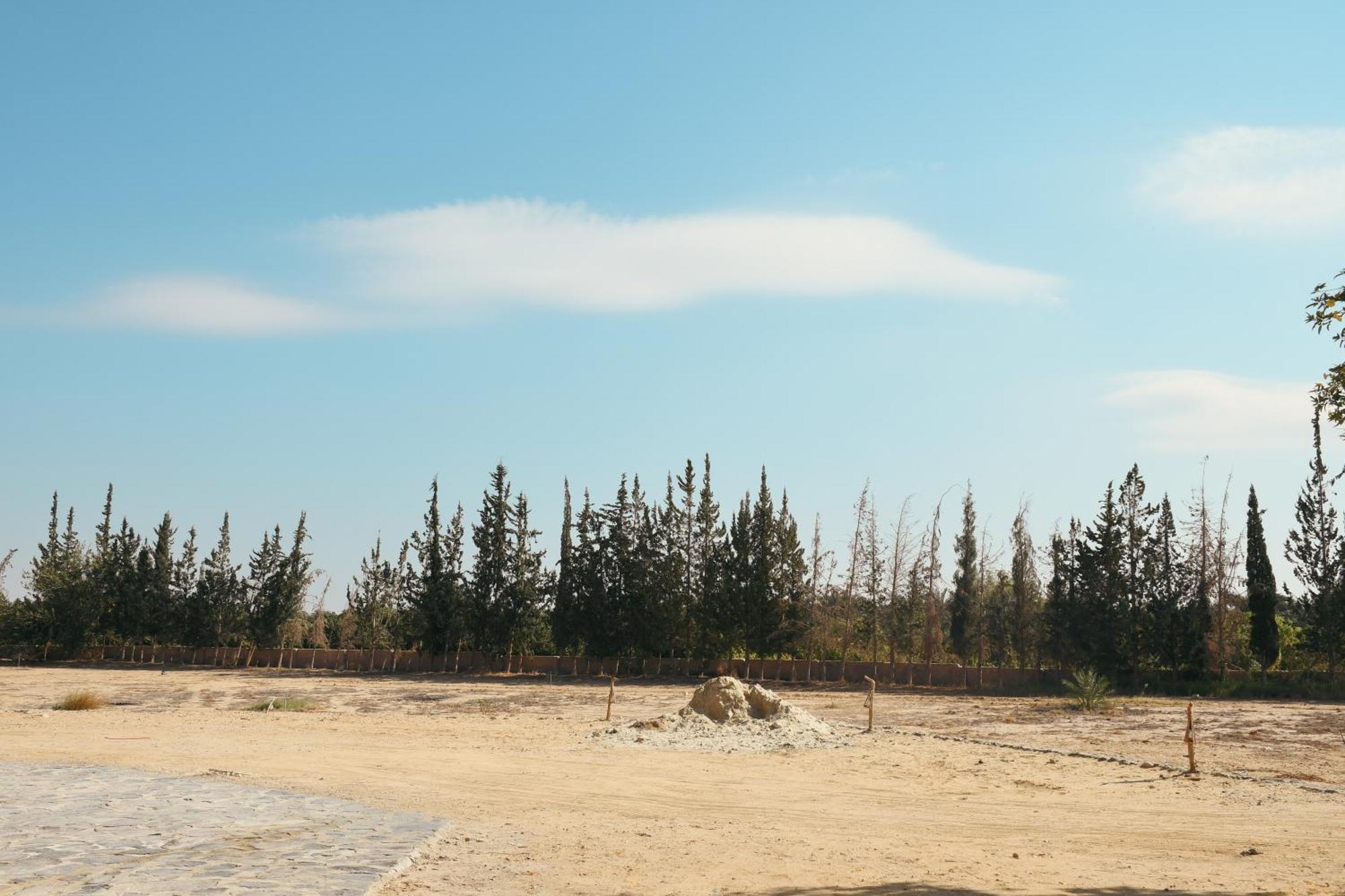 فيلا Tzila Bahariya Bahariya Oasis المظهر الخارجي الصورة